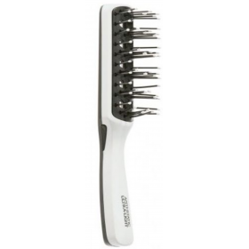 Brosse Plate Salon 254