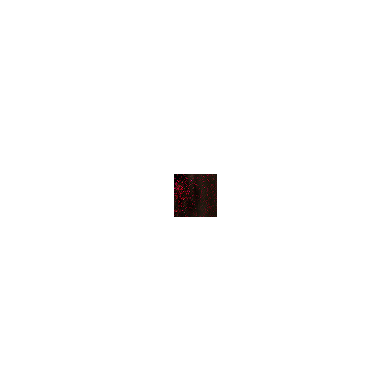 Vernis semi-permanent 1-LAK Dreamy Party 182064