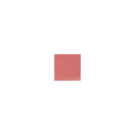 Velours Blush 2 en 1 - Lèvres & Joues 117450