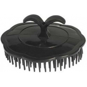 Brosse de Massage et Coiffage