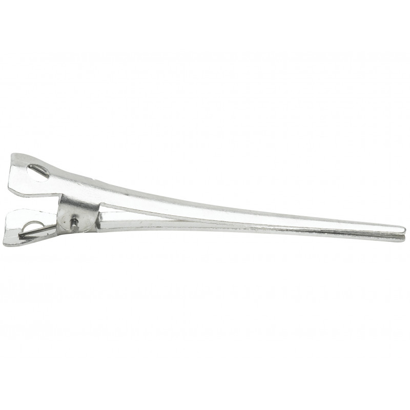 Pinces Mise En Plis Classic par 36 Pcs